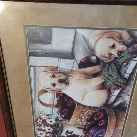 VINTAGE HOME AND GARDEN FRAMED PICTURE YELLOW LABS APPLES GORGEOUS - Picture 3 of 5